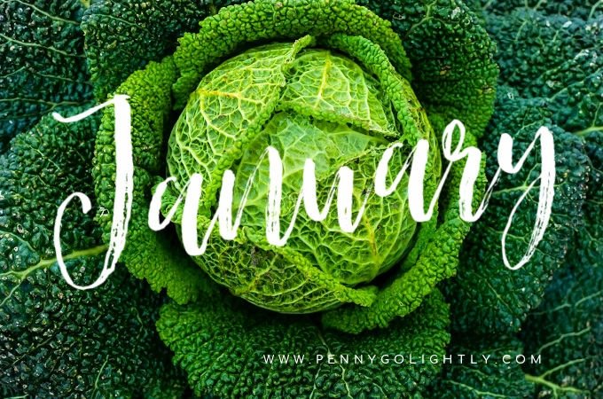 British seasonal food in January 2020 savoy cabbage