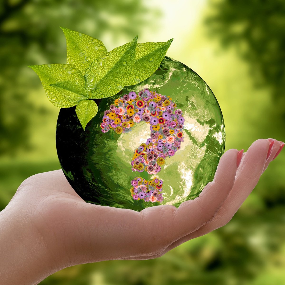 can-you-shop-sustainably-at-Everything5Pounds-E5P