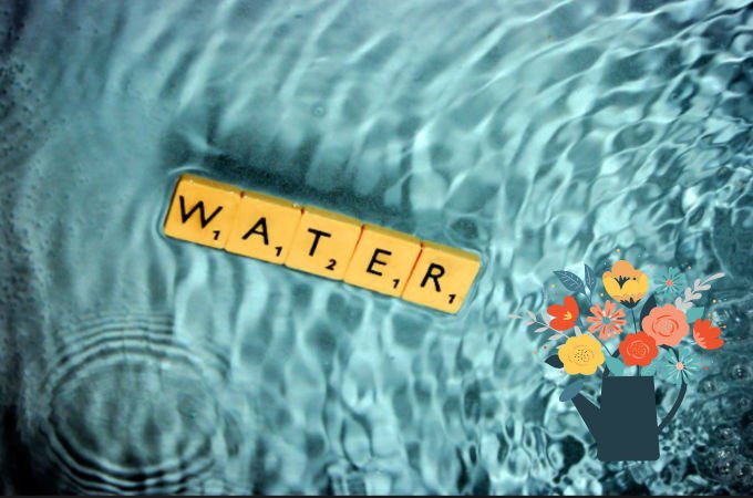 Day 1 Hydration watering can