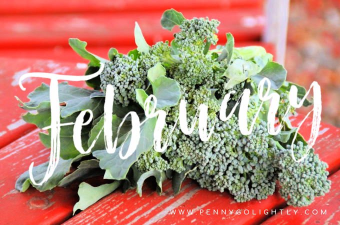 February seasonal food ingredients in season