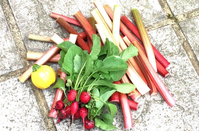 Golightly Gardens kitchen garden diary July 2017 grow your own gardening