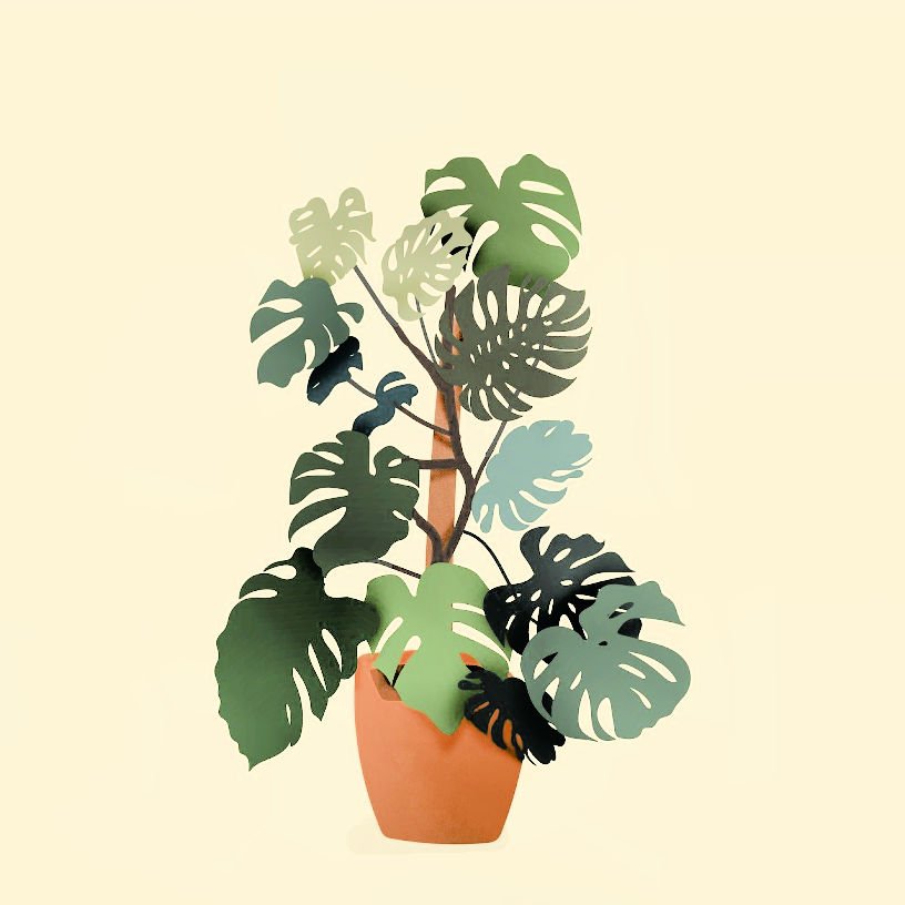 Jump Start Jan 2025 Week 2 progress