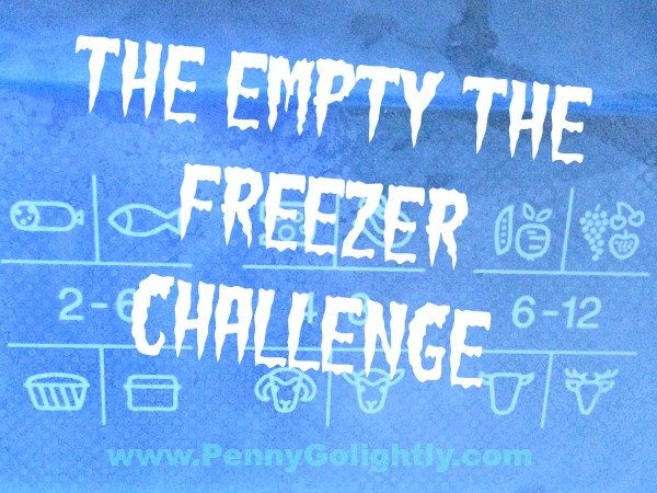 The Empty the Freezer Challenge Penny Golightly