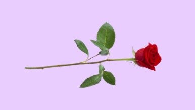 Last minute Valentine’s on a budget